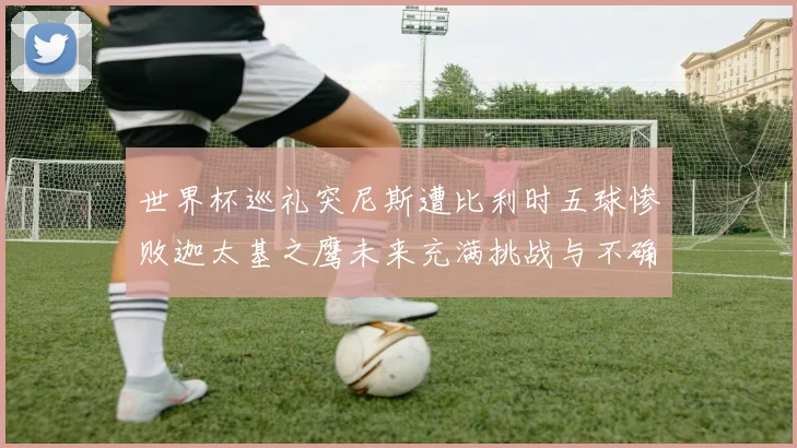 世界杯巡礼突尼斯遭比利时五球惨败迦太基之鹰未来充满挑战与不确定性