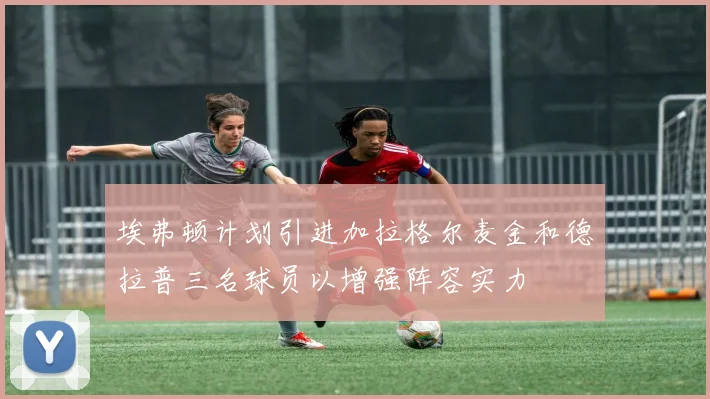埃弗顿计划引进加拉格尔麦金和德拉普三名球员以增强阵容实力